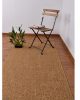 Buy DORRAN WHEATBERRY Rugs Online in India