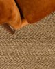 Buy FISHTAIL DESERT SAND Rugs Online in India